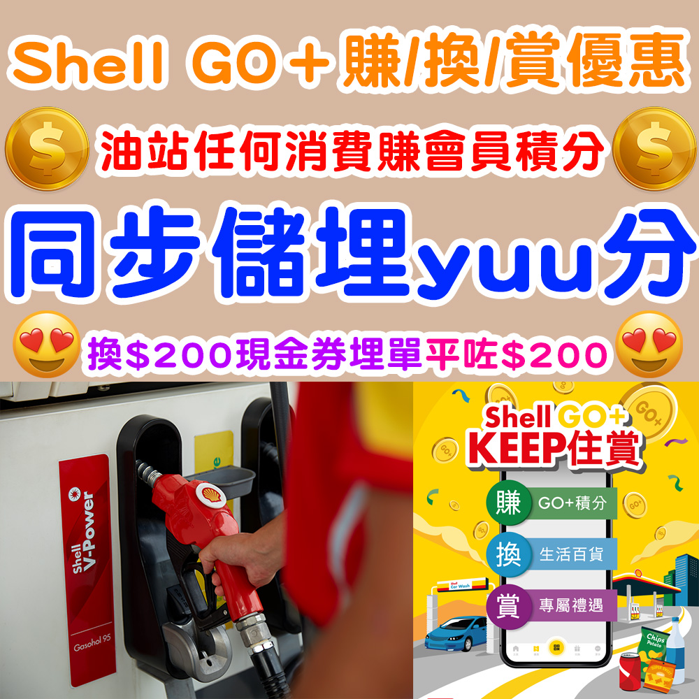 Shell_copy_05